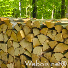 stock de bois de chauffage